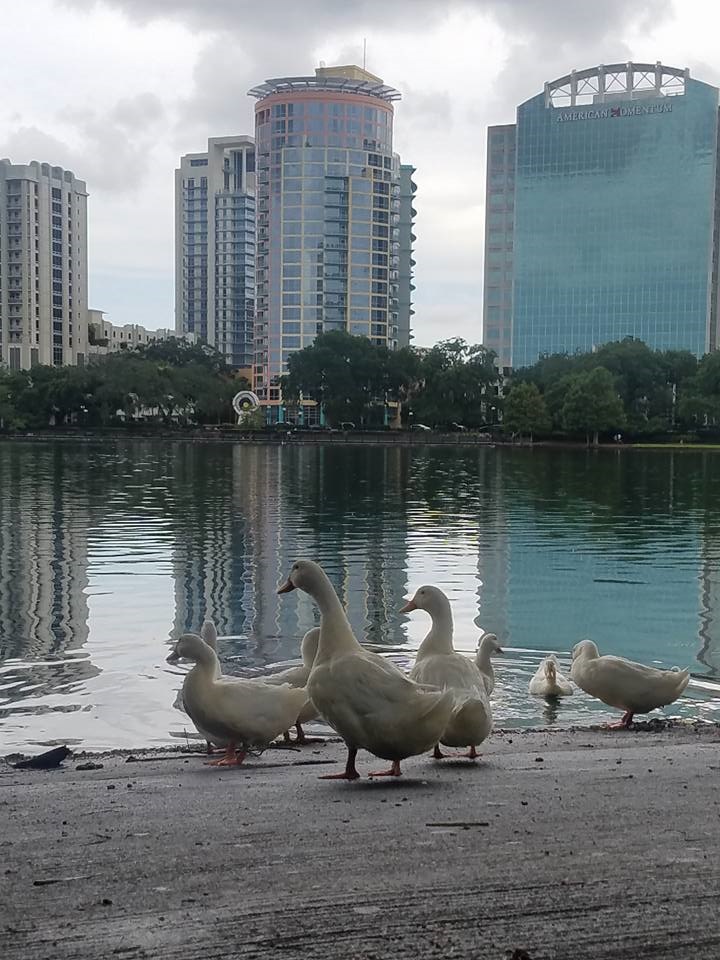 state_28_lakeeola3.jpg