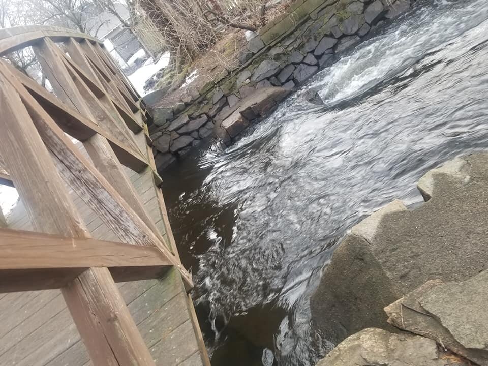 2_28_4miles_6.jpg