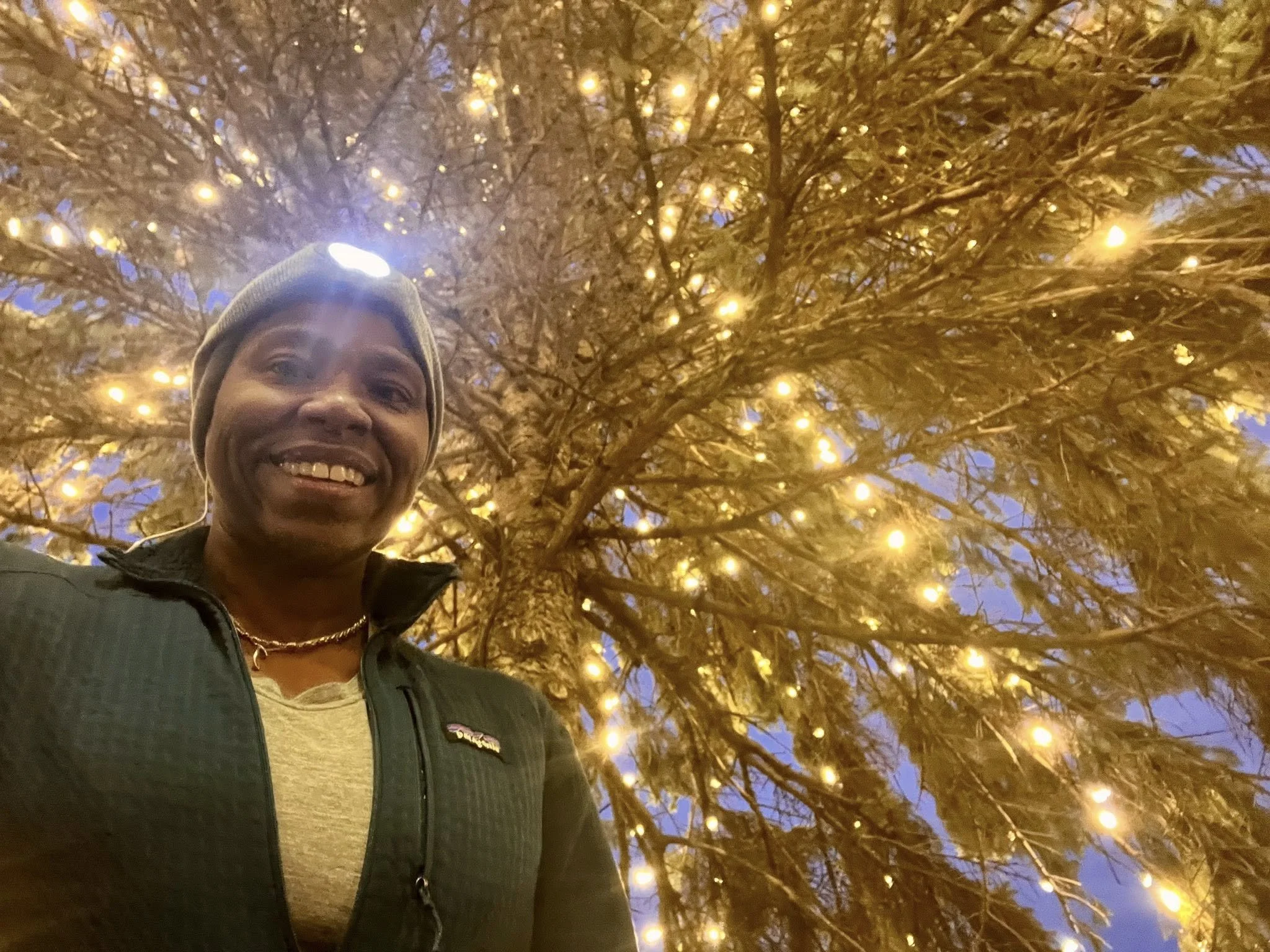 Following the lights