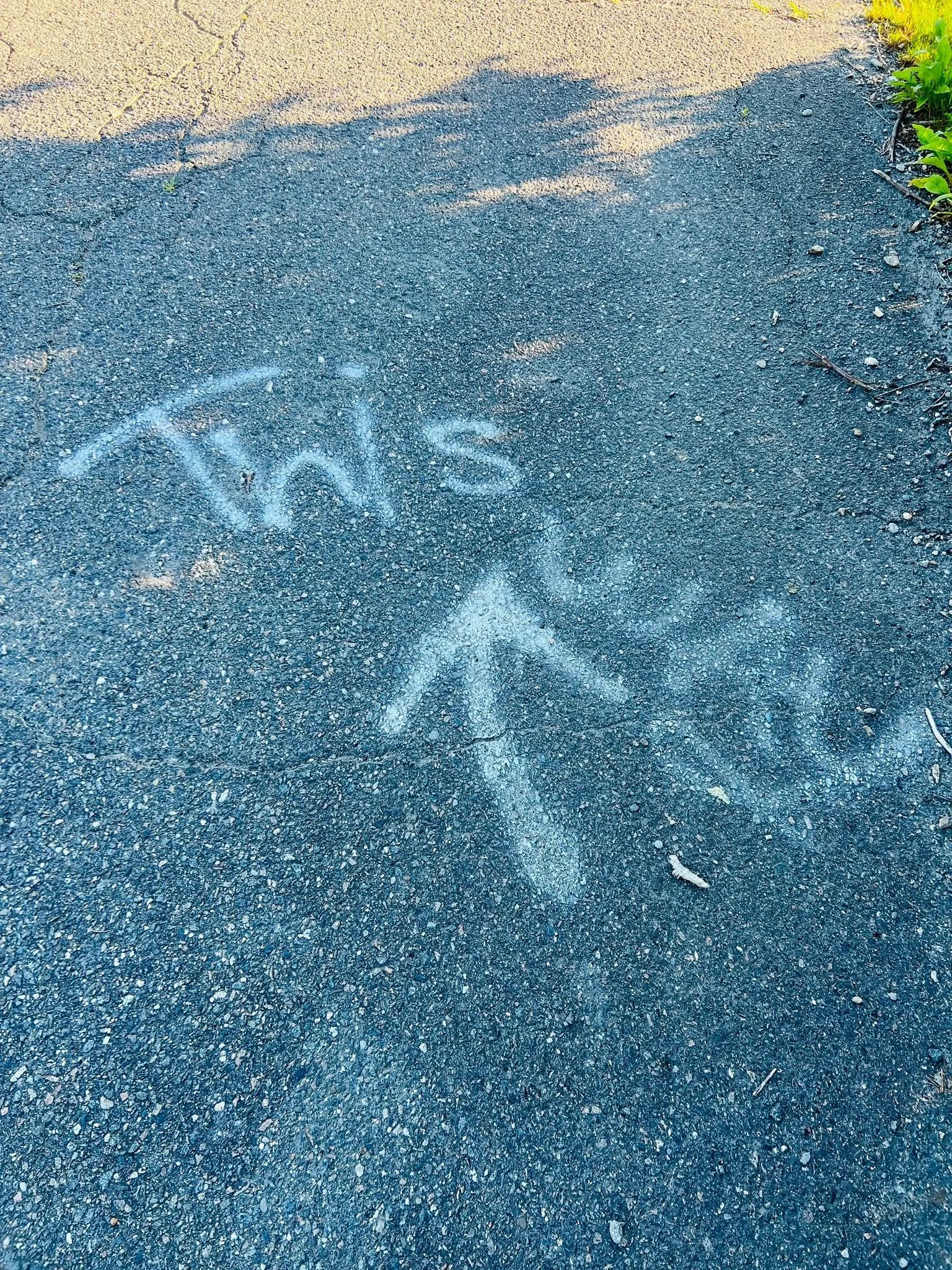 6_25_5k_8.jpg