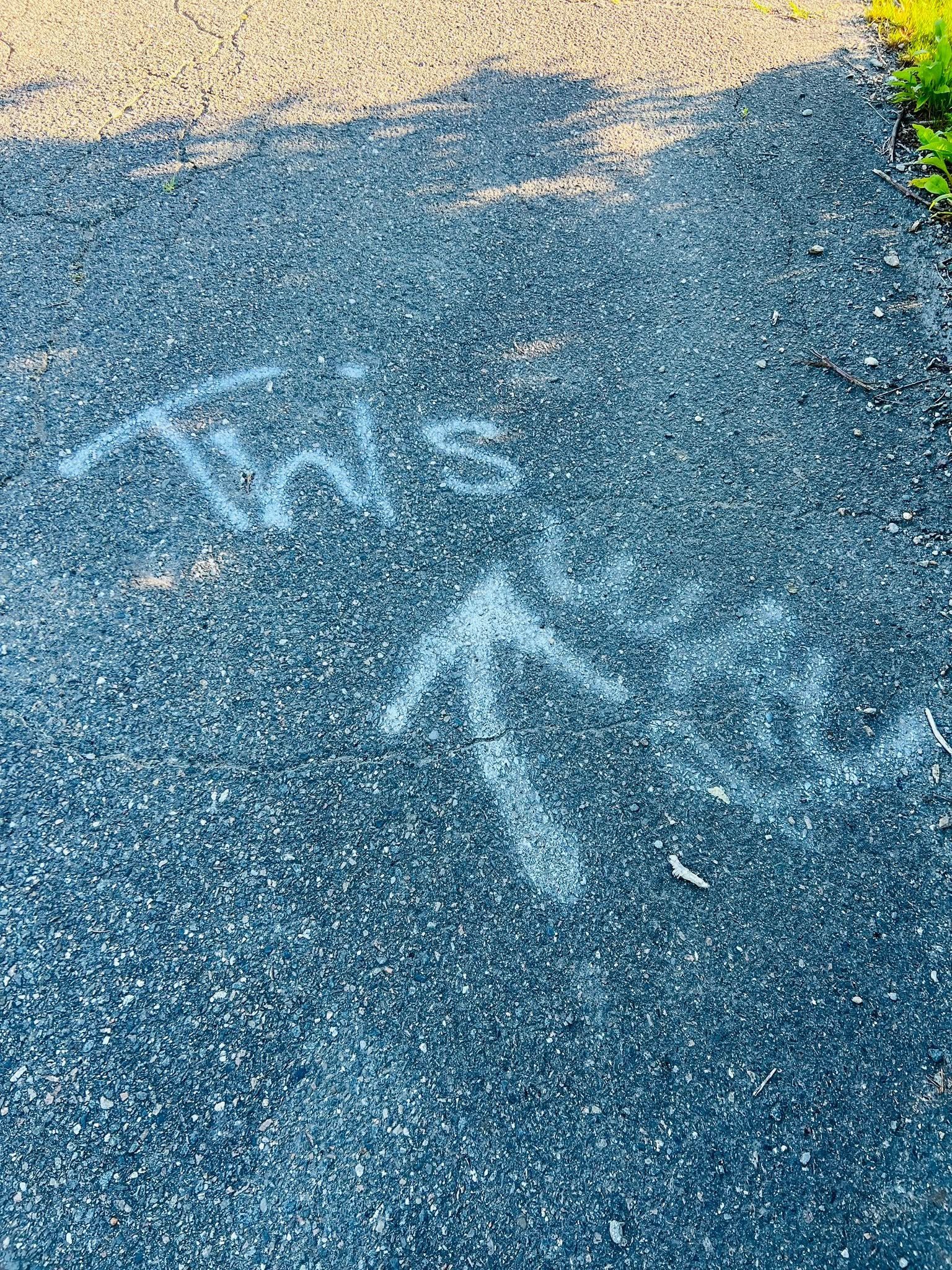6_25_5k_8.jpg