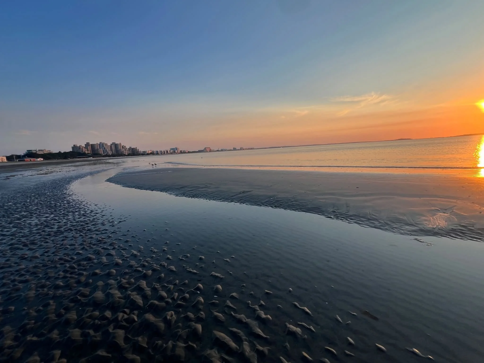 7_3_beach_4.jpg