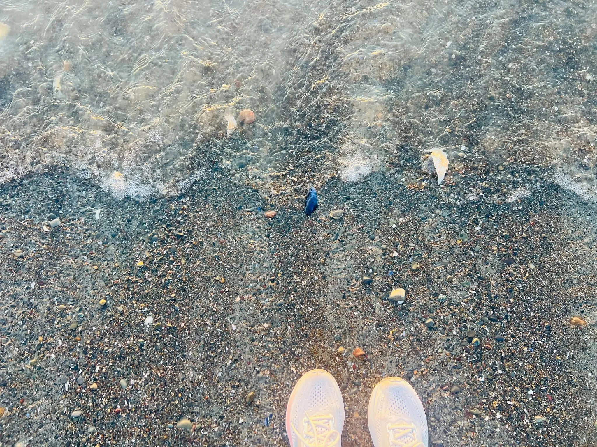 7_3_beach_7.jpg