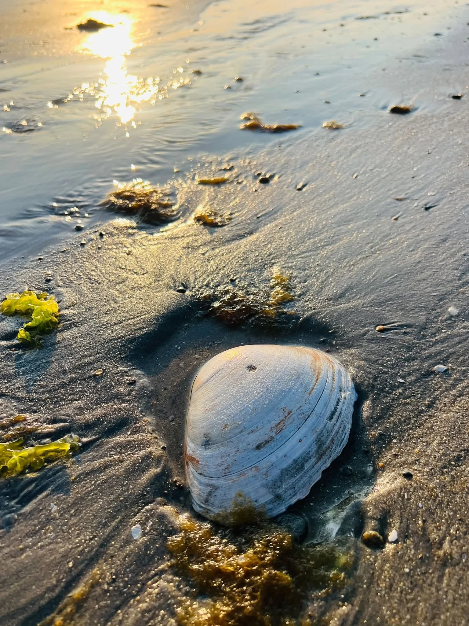 7_3_beach_10.jpg