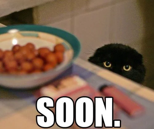 cat meme - soon..jpg