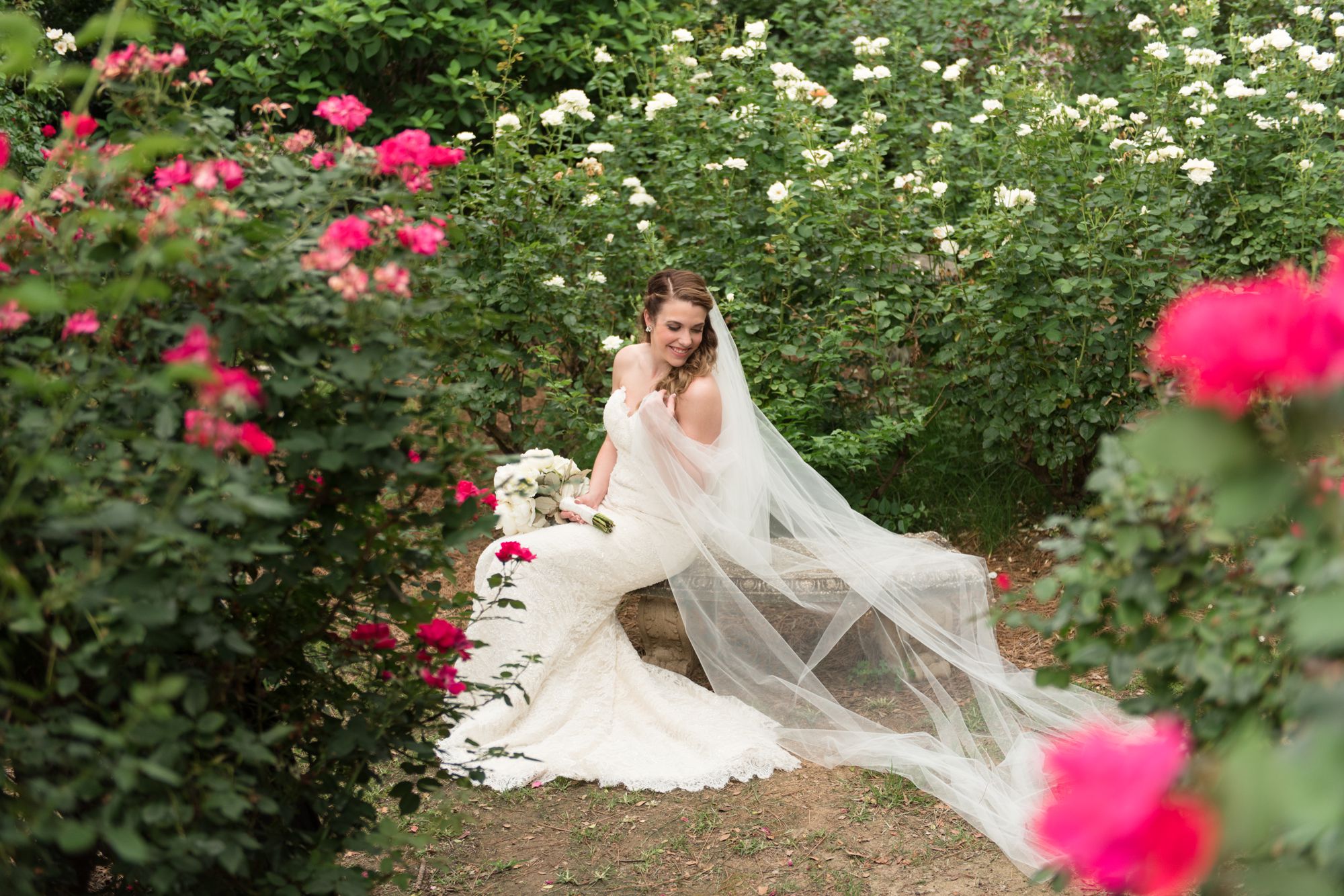 mcgill-rose-garden-bridal-portraits-1.jpg