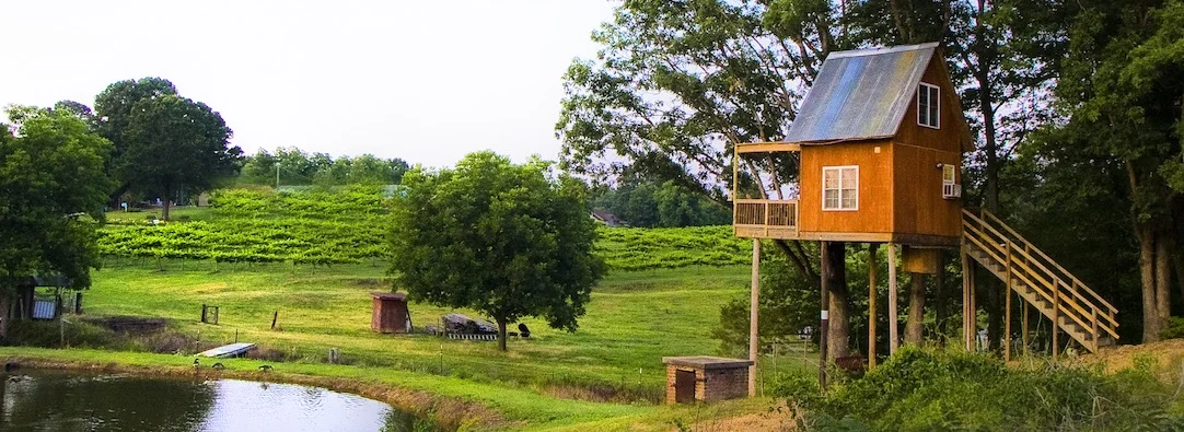 Treehouse Vineyards|Trusted Unique Less-than-50 50-100 100-250 250plus 26mi-plus