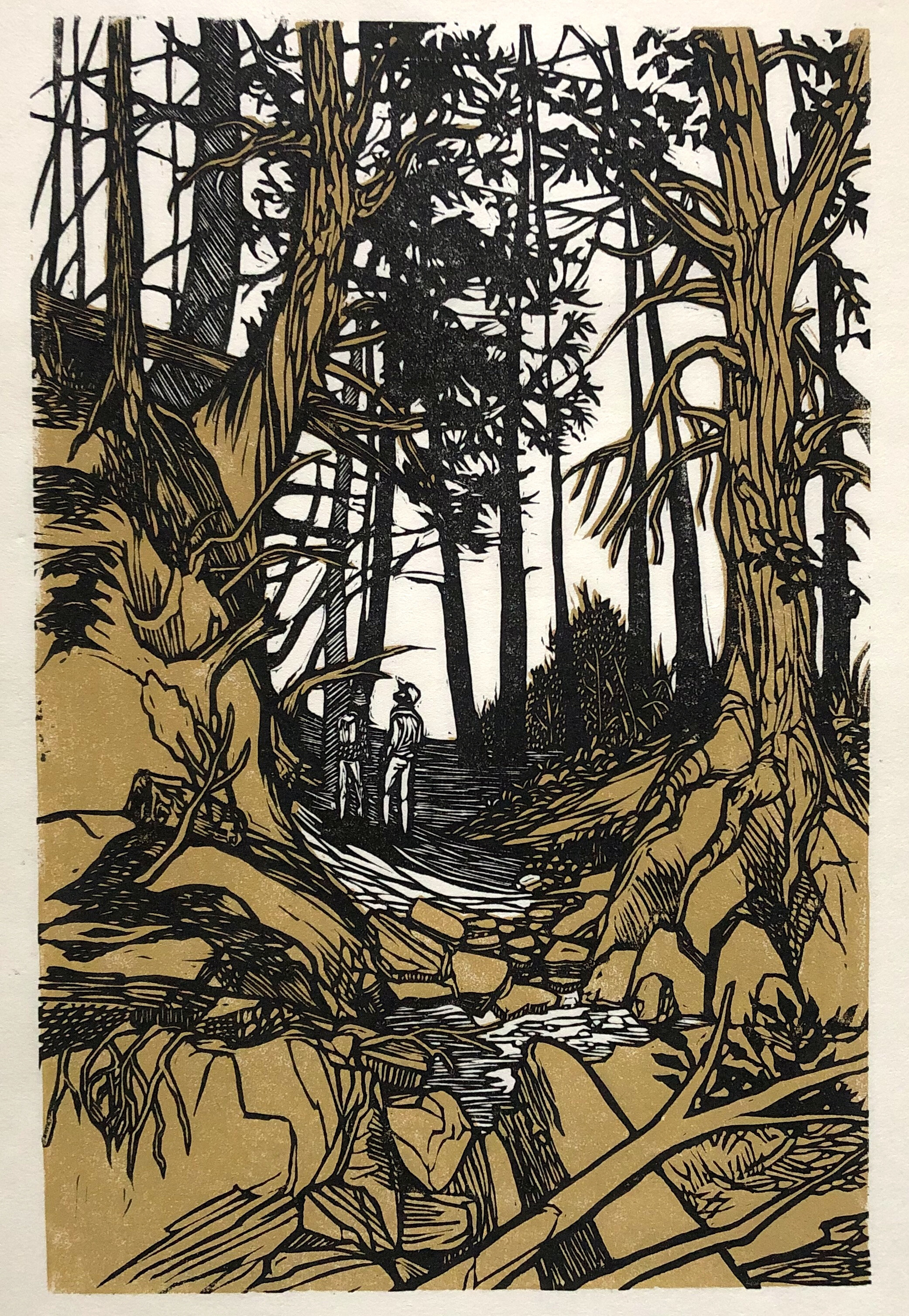 Old Growth Trail
