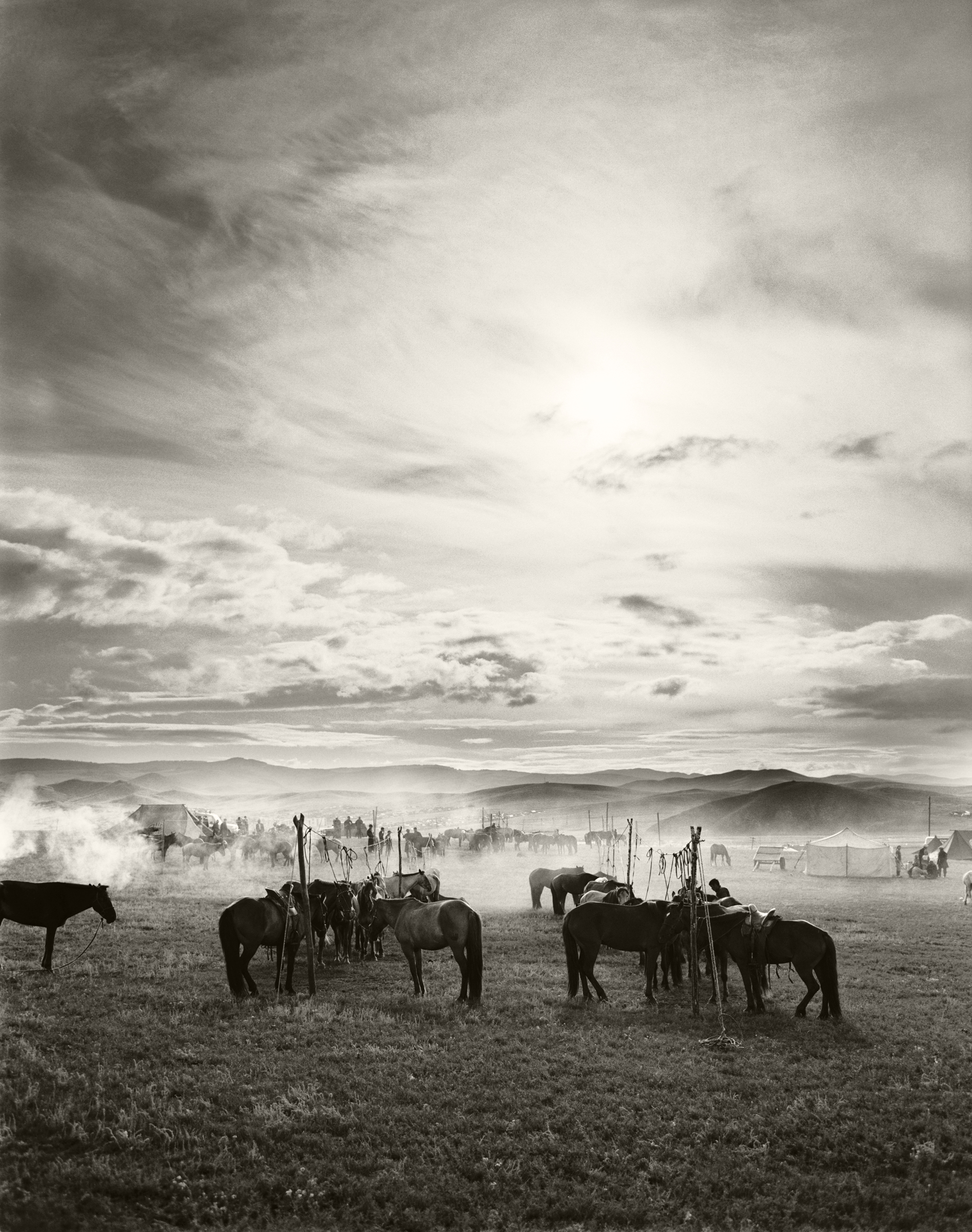 LANDSCAPE IN MONGOLIA WITH HORSES