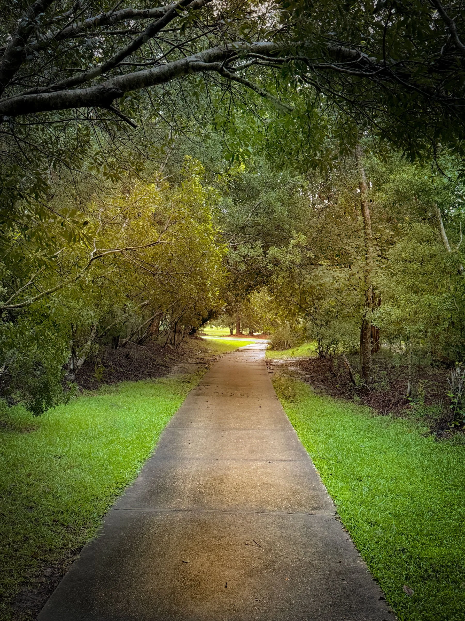 Buckhead North, Richmond Hill, GA