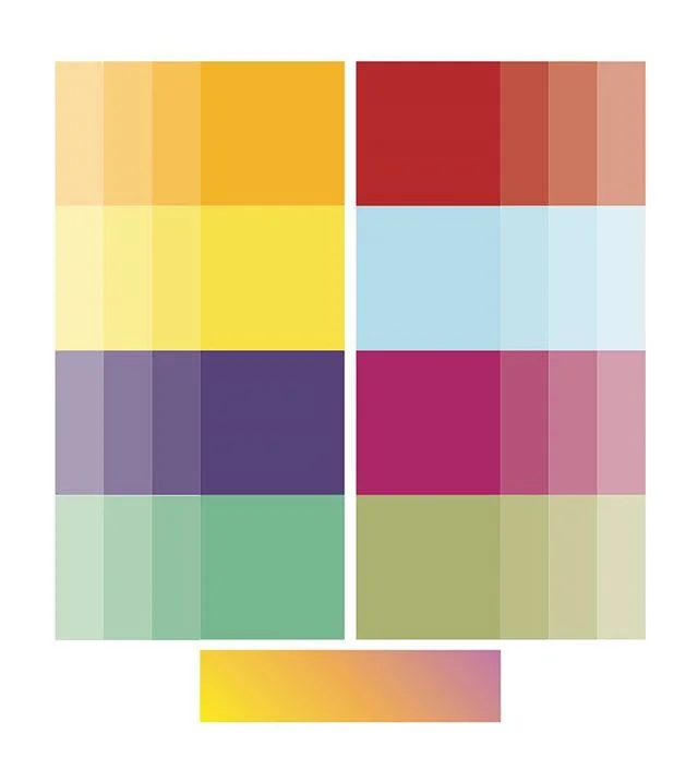 @bodydelsolmedicalspa proposed color palette 🌻🌹🌎🍇🥝