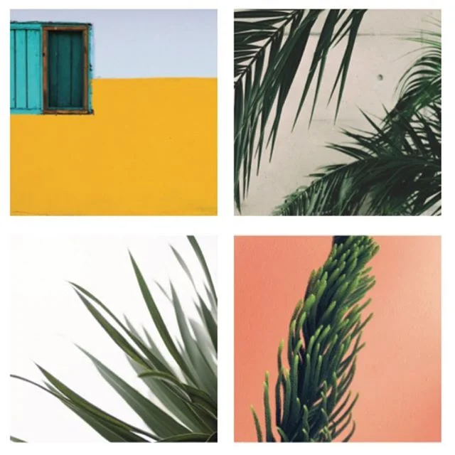 @bodydelsolmedicalspa plant vibes! 🌴🌿🍃