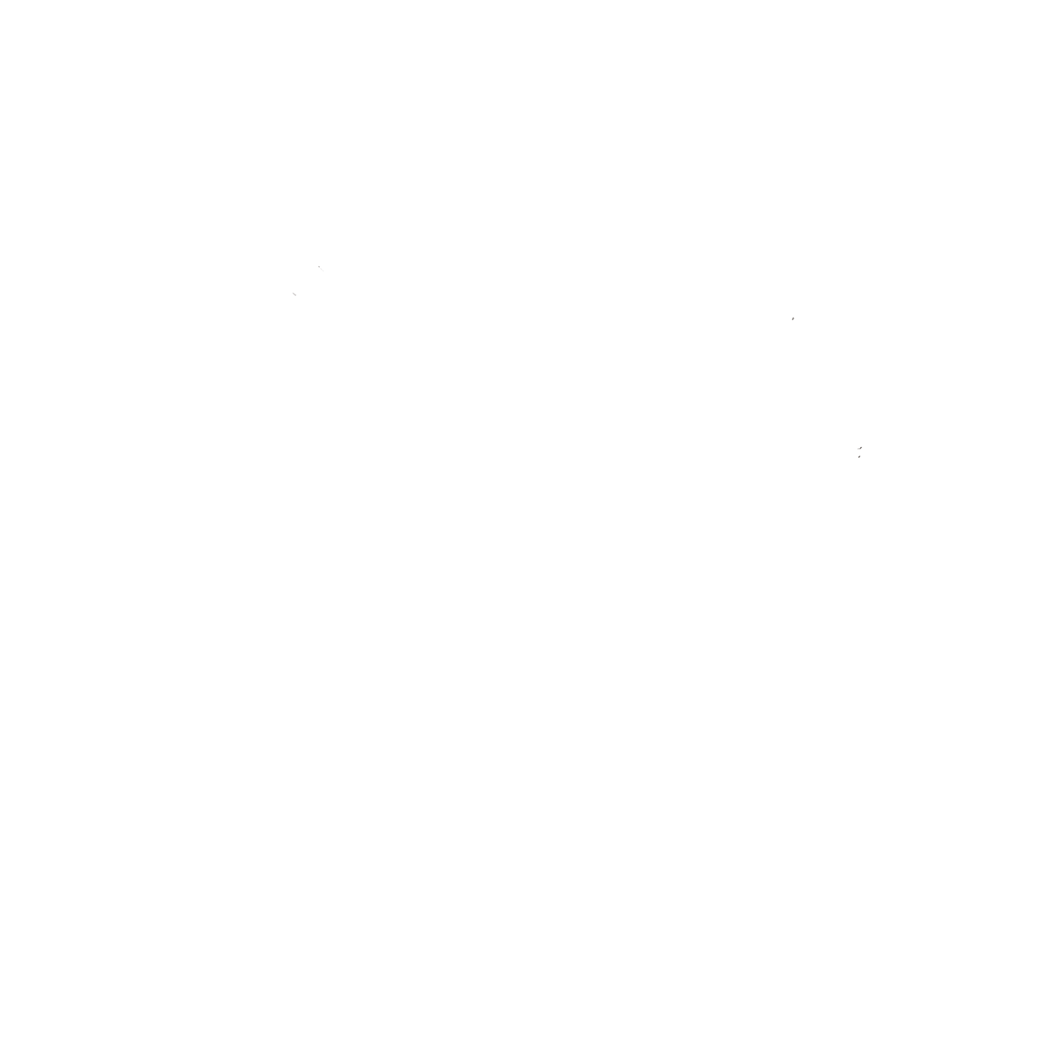 DIS Logo_White-01.png