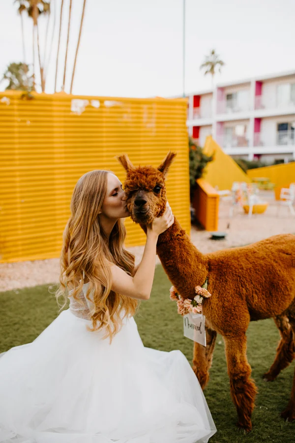 The Saguaro Hotel Wedding | Palm Springs Wedding Photographer | Los Angeles Wedding Photographer | Tida Svy | www.tidasvy.com
