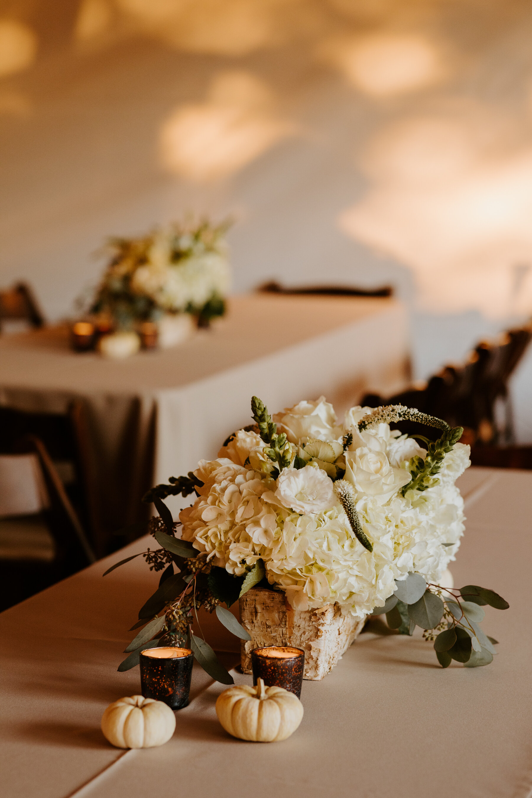 Intimate Los Angeles Backyard Wedding with InNOut — Tida Svy