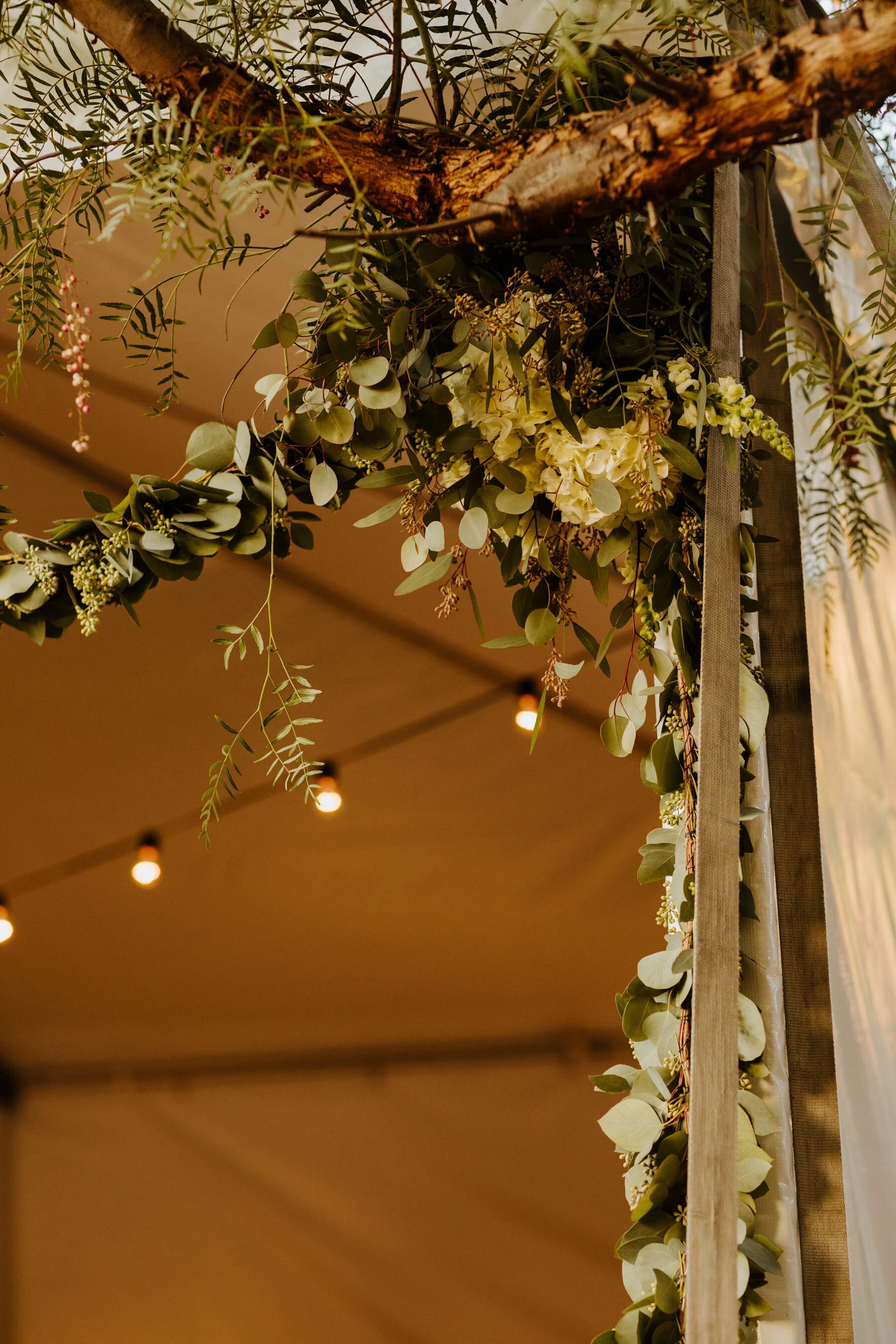 Intimate Los Angeles Backyard Wedding with InNOut — Tida Svy