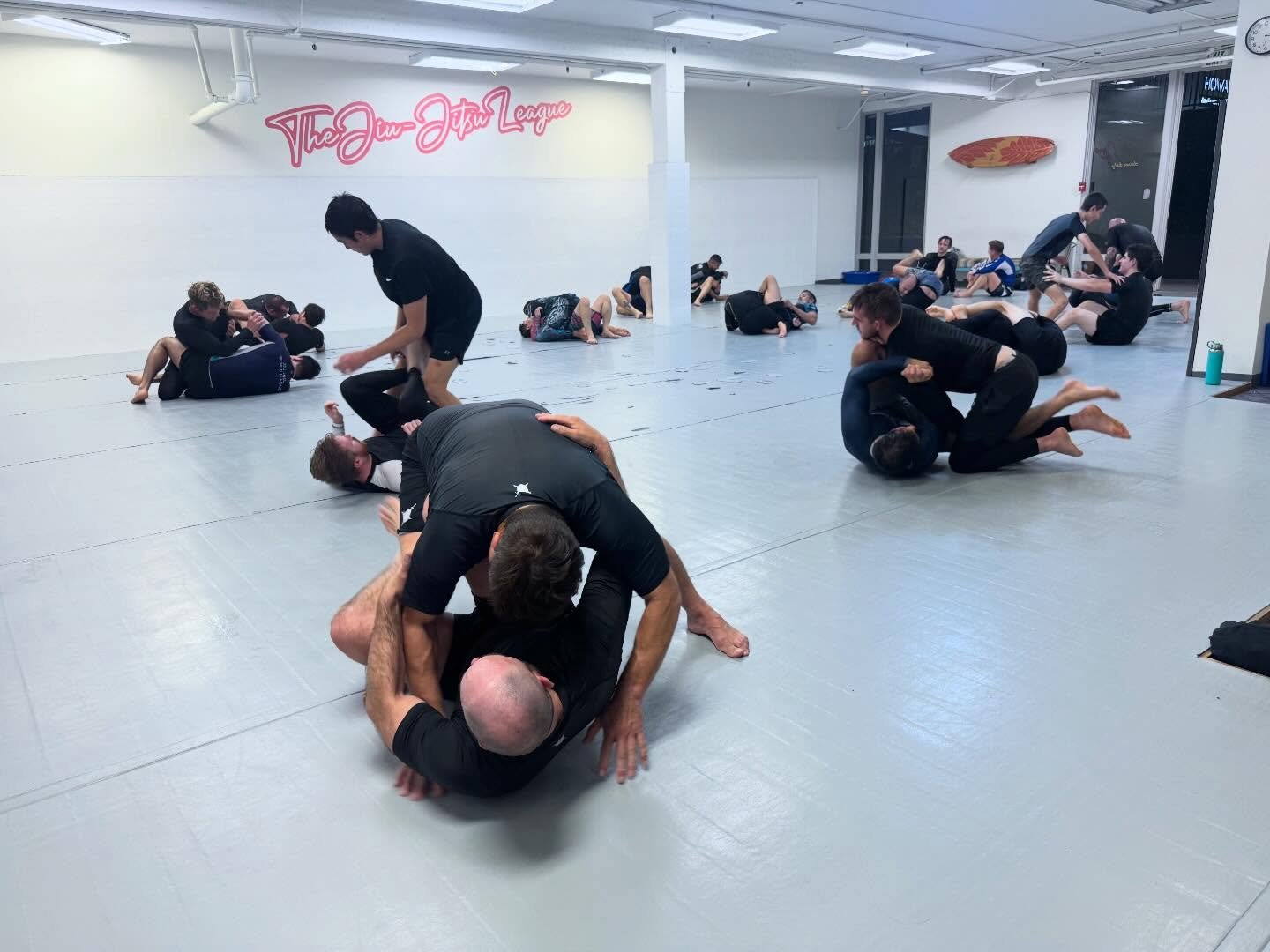 MONDAY January 19th: SPECIAL HOLIDAY SCHEDULE! 

No regular classes! Open mat at 11am and 5pm!