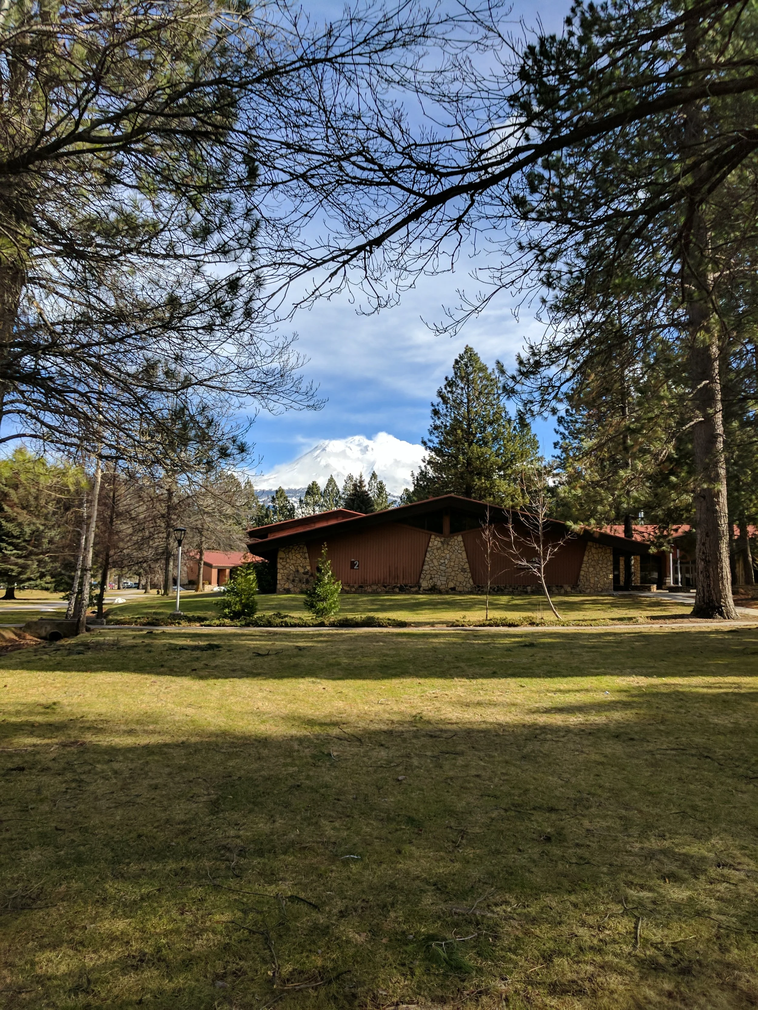 Damn, Shasta, you pretty.