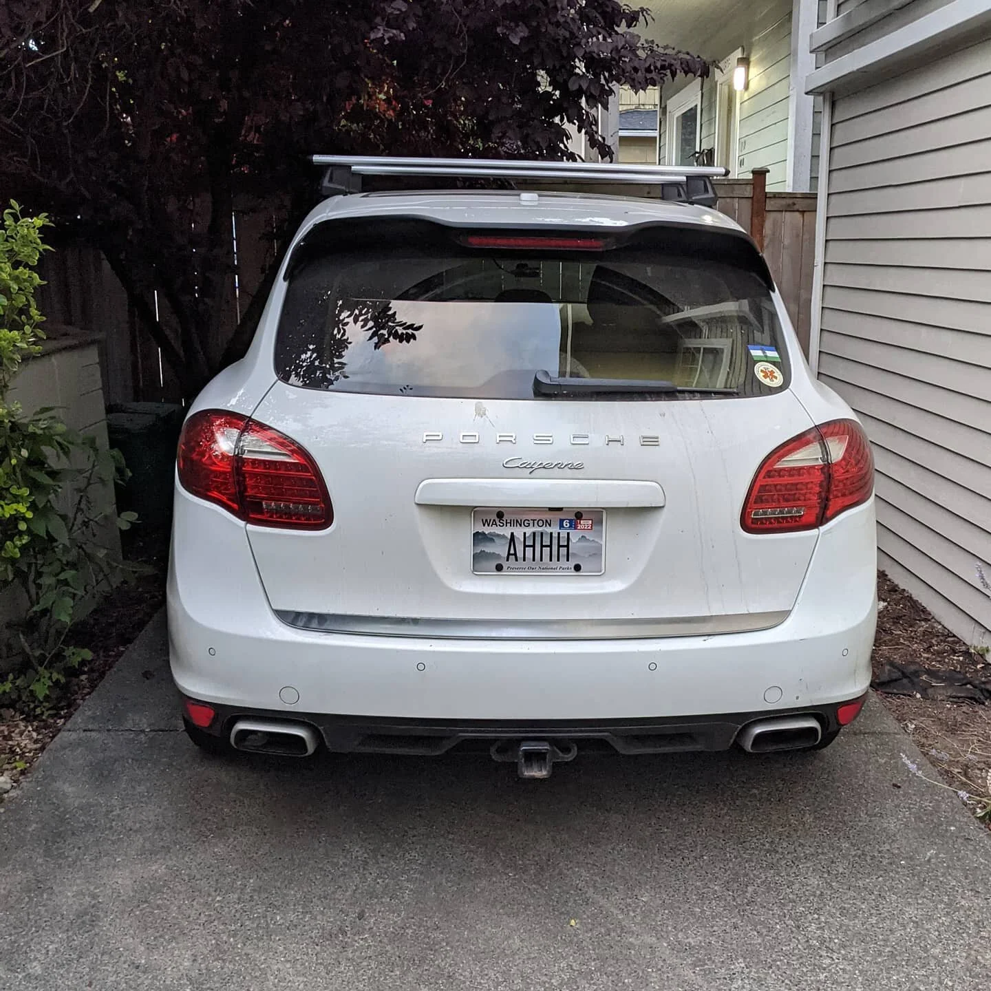New plate who did
