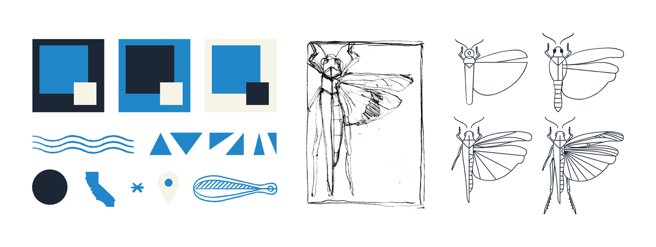 Type-Hike-Alphabeast_Zayante-Band-Winged-Grasshopper_process-01.jpg