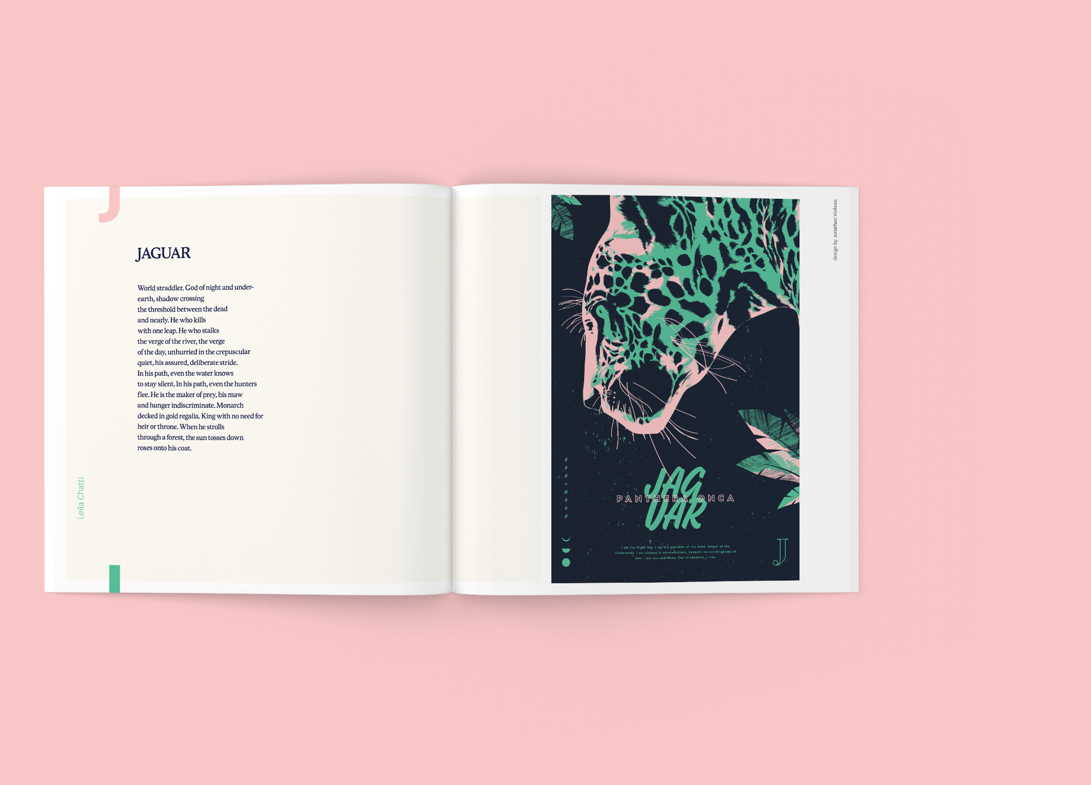 inside-jaguar-pink.2.png