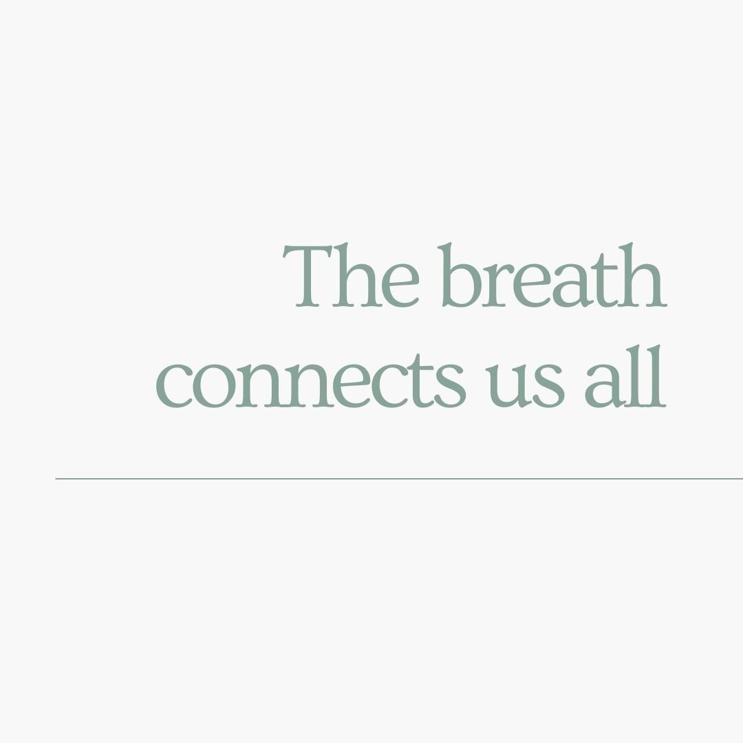 I heard a doctor from Africa say recently that in a 24 hour period we will breathe at least one molecule of air of every person who has walked the planet.⁠
⁠
Consider that thought. We are connected.⁠
⁠
We are all in this together.⁠
⁠
I host guided br