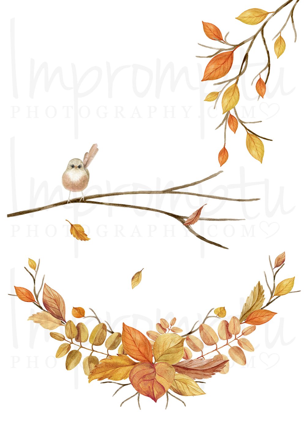 5x7 Printable Fall - Thanksgiving Card (blank inside) — Impromptu  Photography