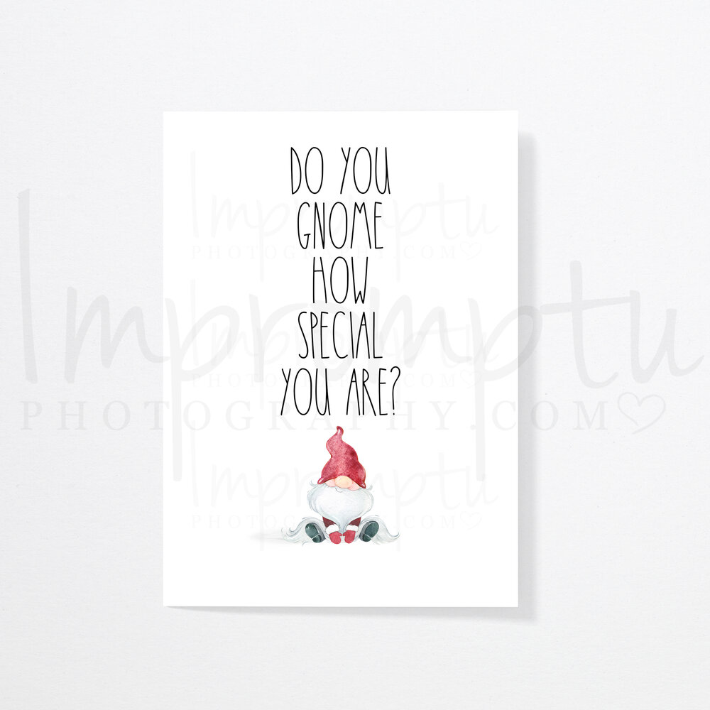 Gnome Rae Dunn Inspired Christmas Cards Boy Impromptu Photography