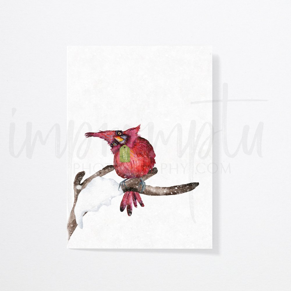 Printable Funny Cardinal Bird Christmas Card — Impromptu Photography printable-funny-cardinal-bird-christmas-card-impromptu-photography