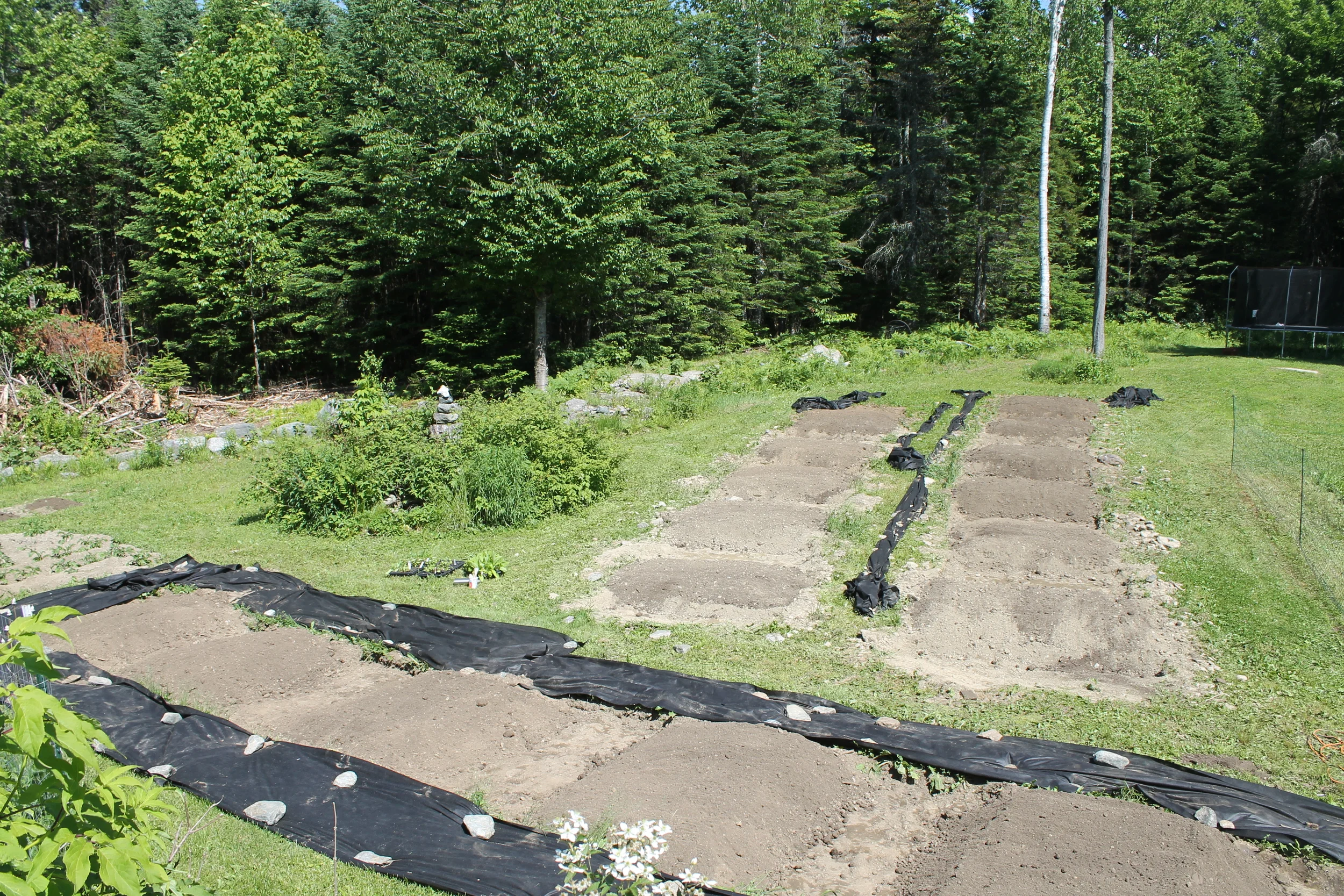 Our herb farm in the beginning. It''s so exciting! We have been building our soil for years, and we are finally ready to plant! 