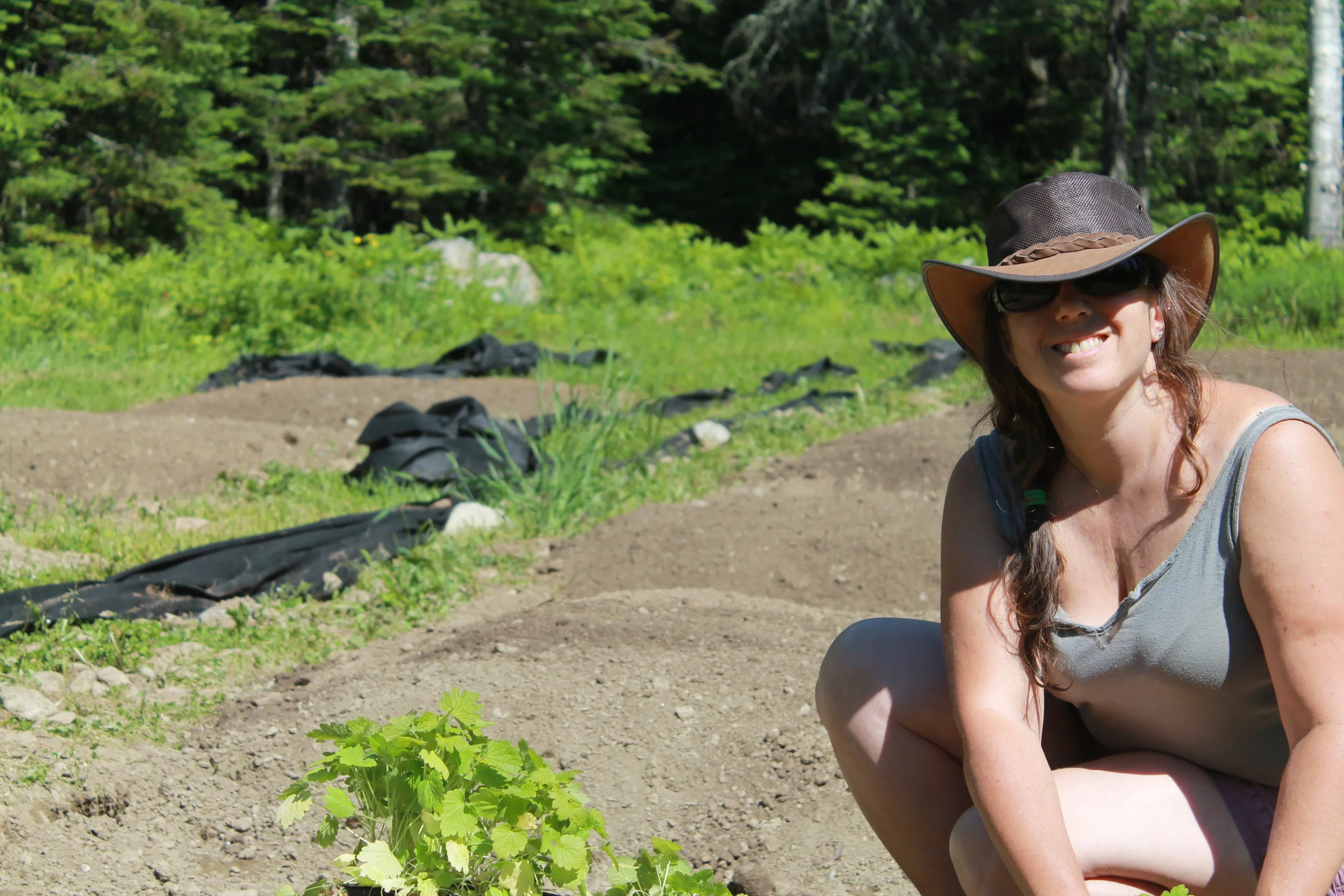 Shona planting the first bed of herbs, Motherwort. 