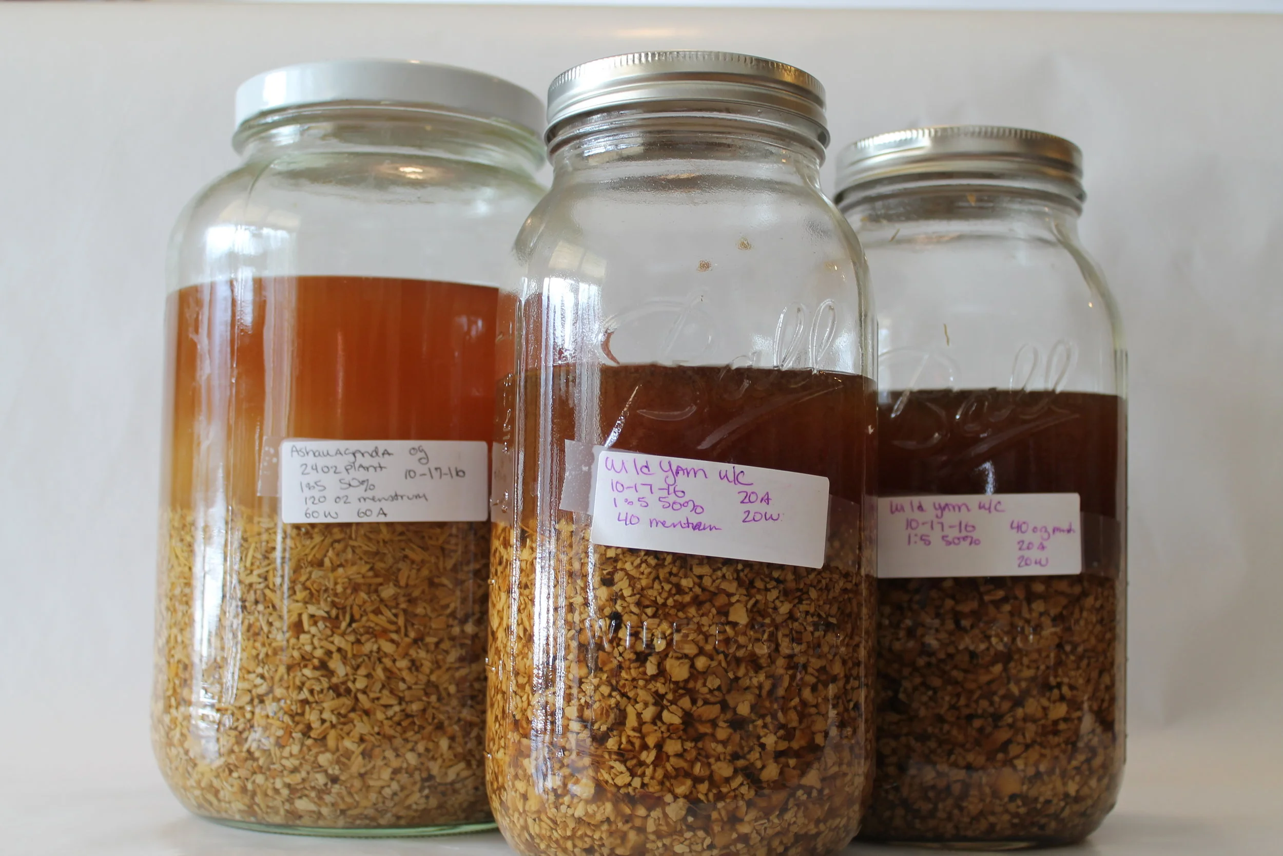 Our herbs in menstrum. They will be ready to bottle soon. These herbs are sitting in organic alcohol and water. Once they are ready we will press them. 