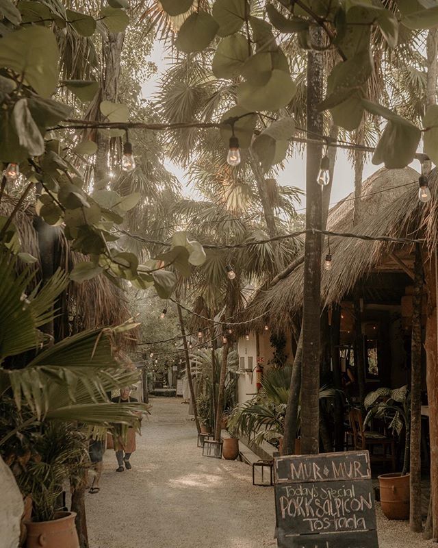 I'm convinced Tulum is the unpretentious equivalent of the Hamptons for spiritual hippies. 
#MilesFromTulum
#milesfrommexico