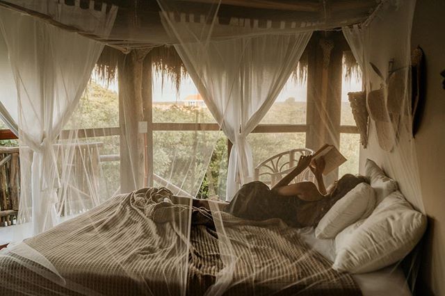 Sunrise in the Jungle with Milan Kundera. I fall asleep with my books so I can reach for them when I wake up and continue where I left off. #childhoodhabitsneverdie 
#alwaysmilesfrom 
#milesfromtulum 
#milesfrommexico