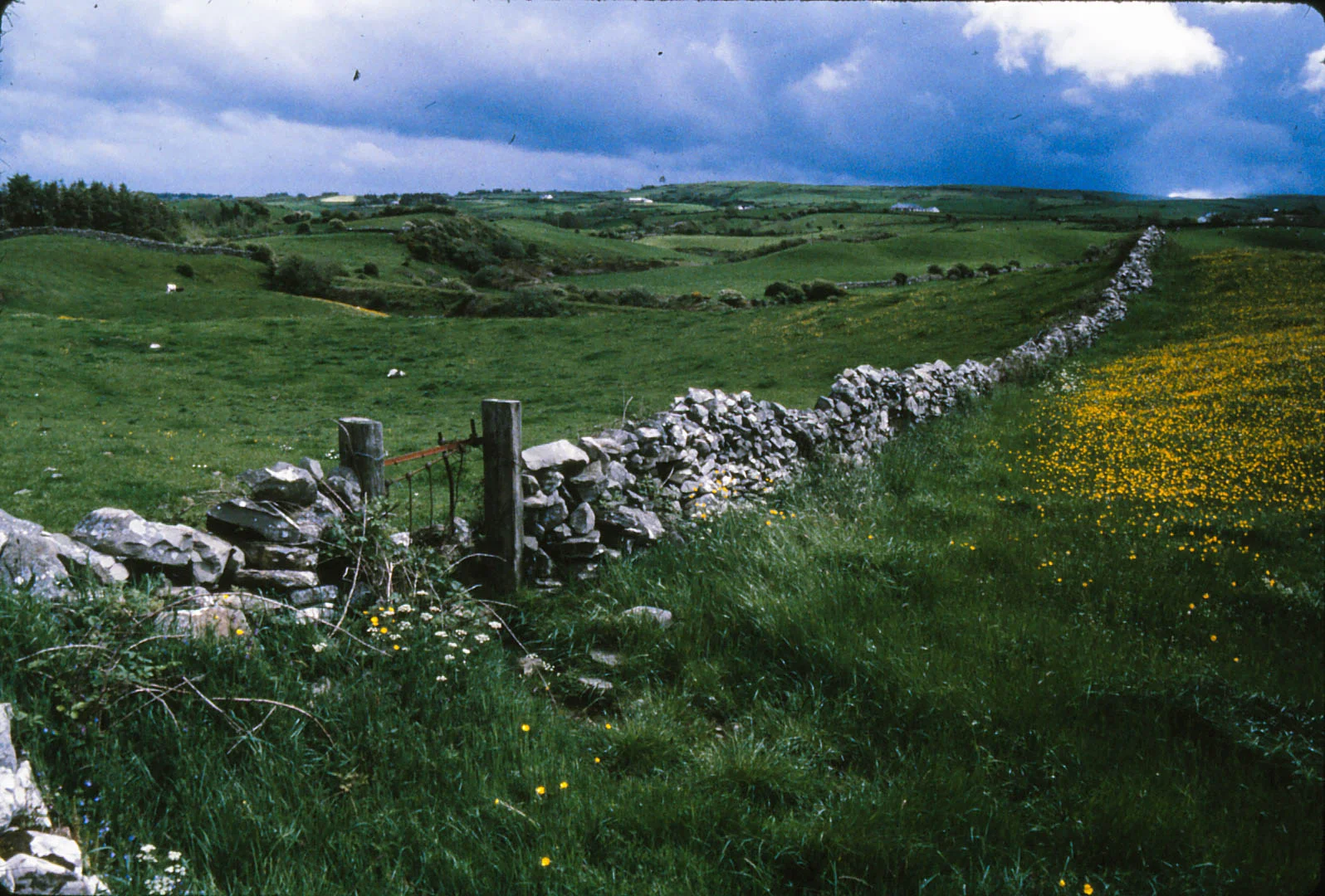 sc0175.jpg