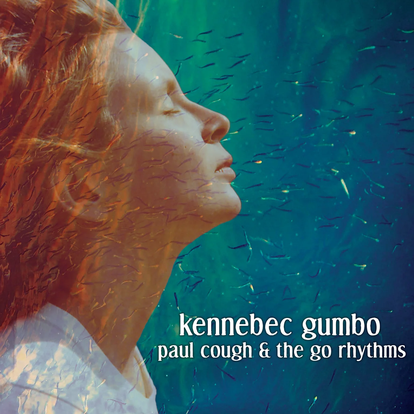 Kennebec Gumbo - CD Baby.jpg