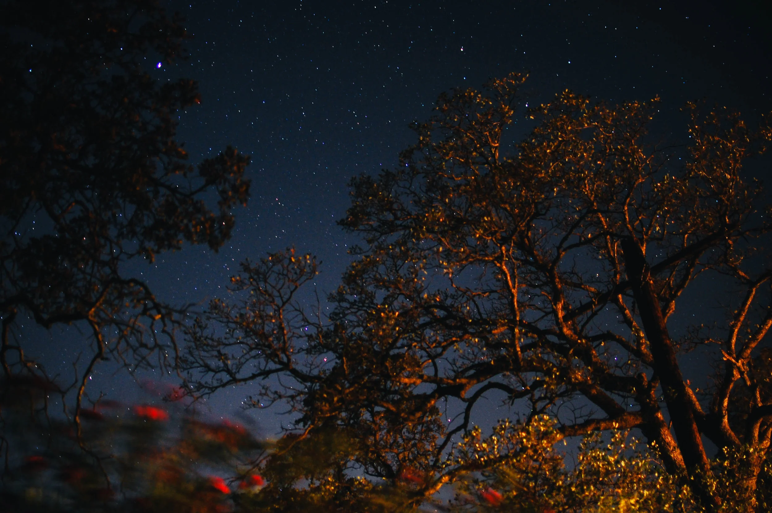 DSC_0867.jpg