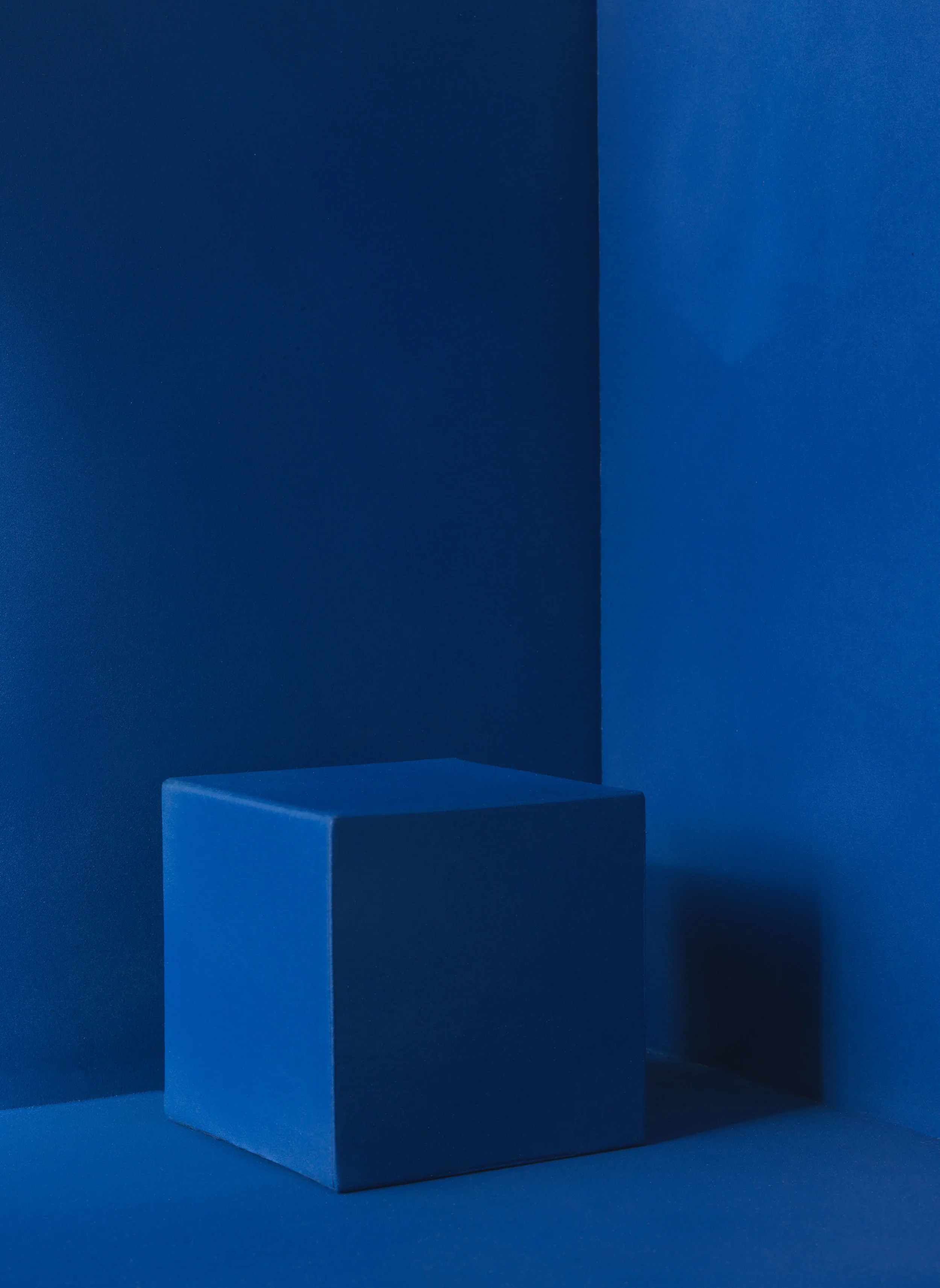 Blu_0099_2.jpg
