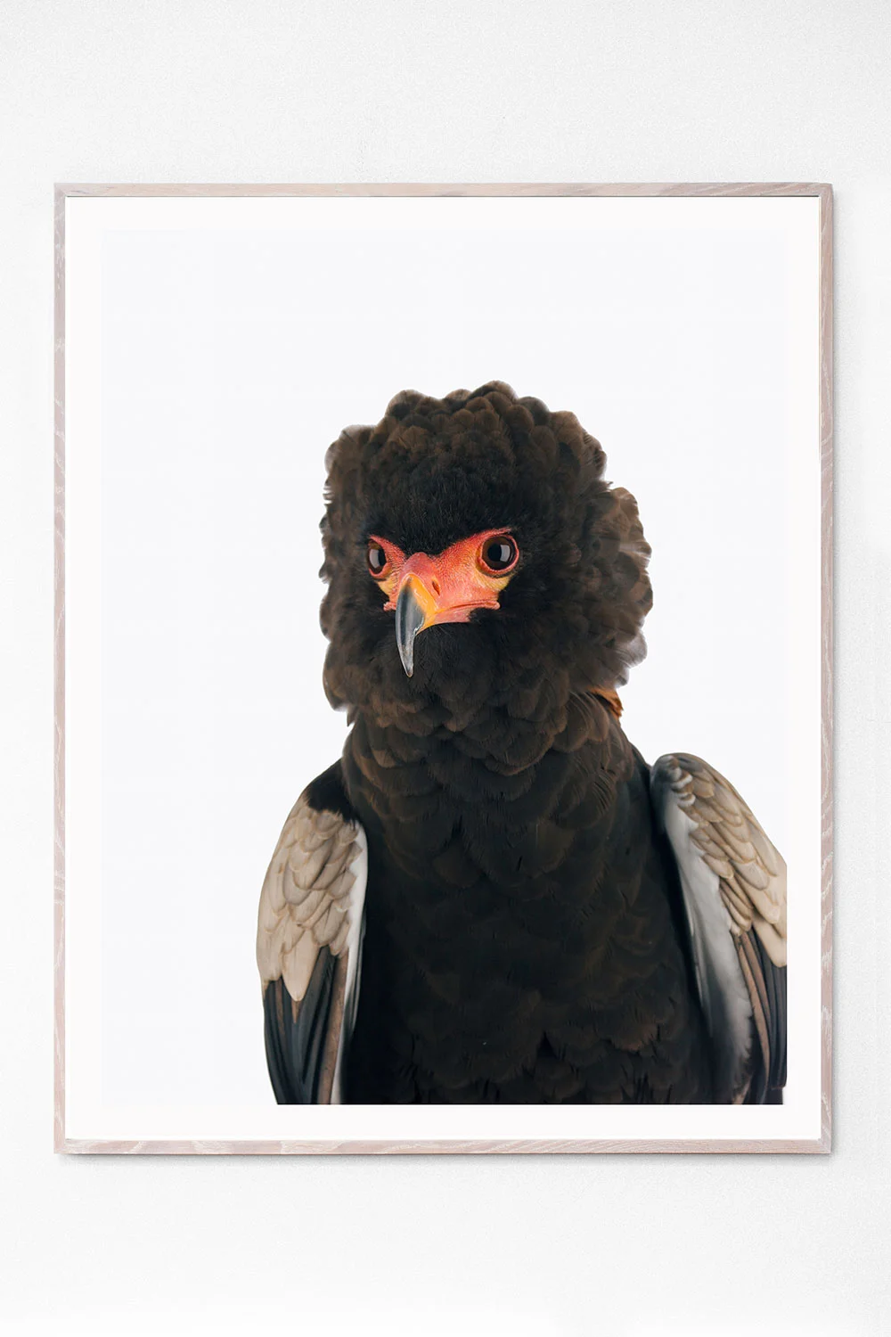 Shadow White Oak Frame