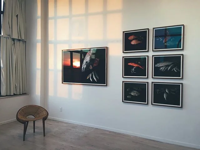 So nice to see the new show up! 'Fin, The Ocean's Last Offerings' is the new collection from @shawnconnell 💥💥OPENING TONIGHT 7-10pm All are welcome 🥂🍹🍾 drinks and #goodtimes #artandmethod Raising money for Coastal Protection Core with a fundrais