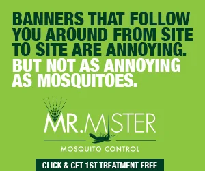 MrMister_Banner Ads_300x250_REV2_070716.jpg