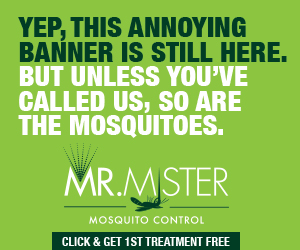 MrMister_Banner Ads_300x250_REV2_0707162.jpg