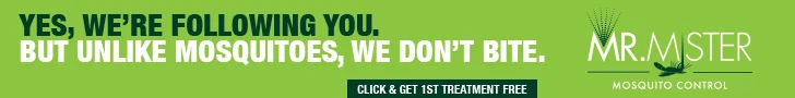 MrMister_Recurring Banner Ads_REV2_0707163.jpg