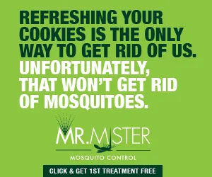 MrMister_Banner Ads_300x250_REV2_0707165.jpg