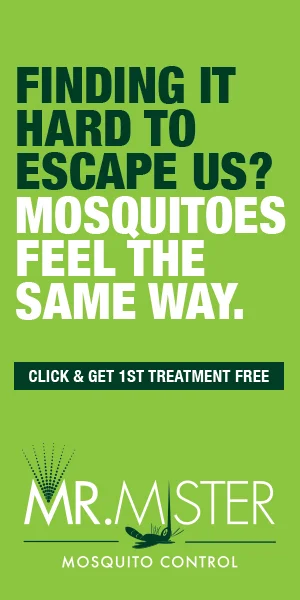 MrMister_Banner Ads_300x600_REV2_0707164.jpg