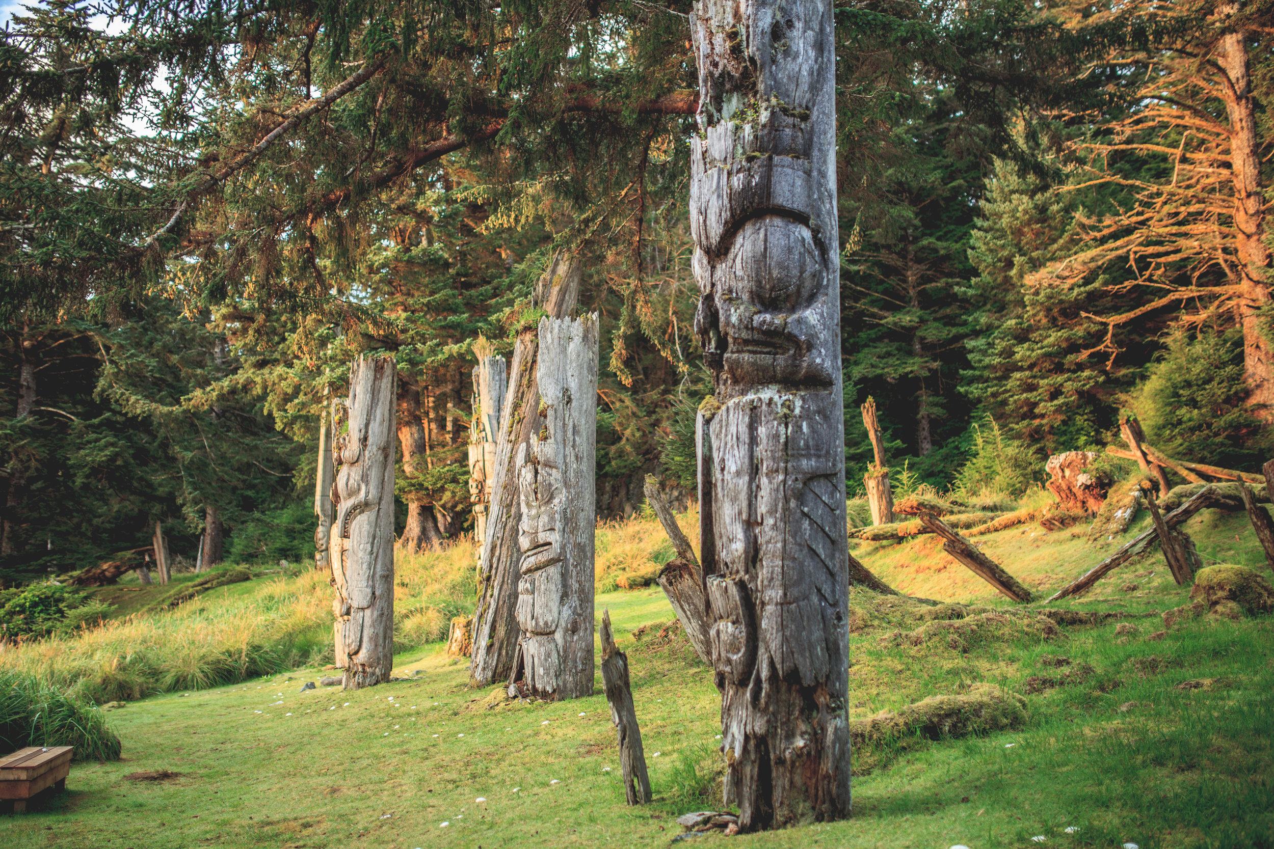  As a lawyer, she has represented the Haida Nation at all levels of court, including reconciliation negotiations, challenging the Enbridge pipeline, and protecting old-growth forests of Haida Gwaii. 