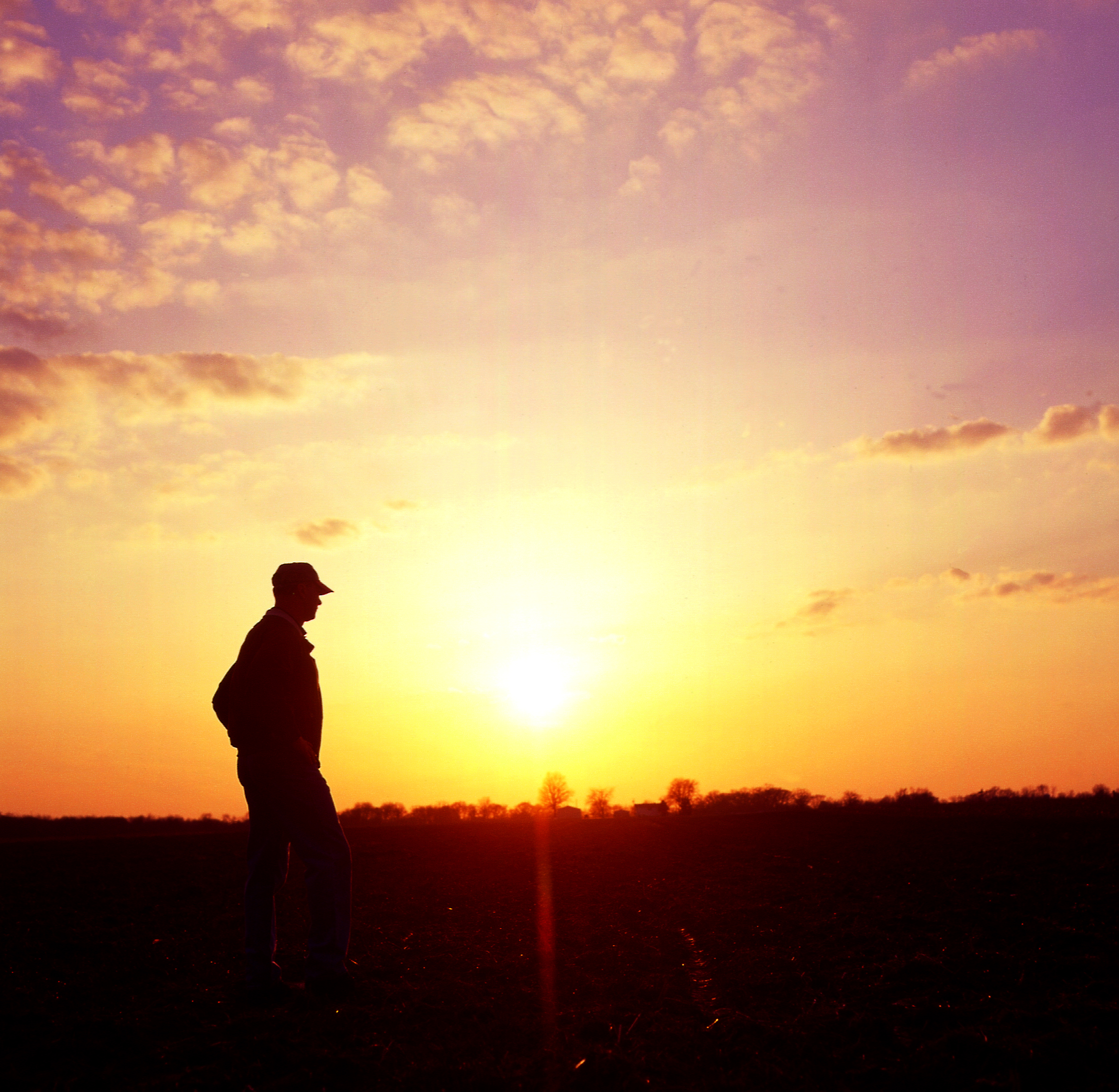 man in field.jpg