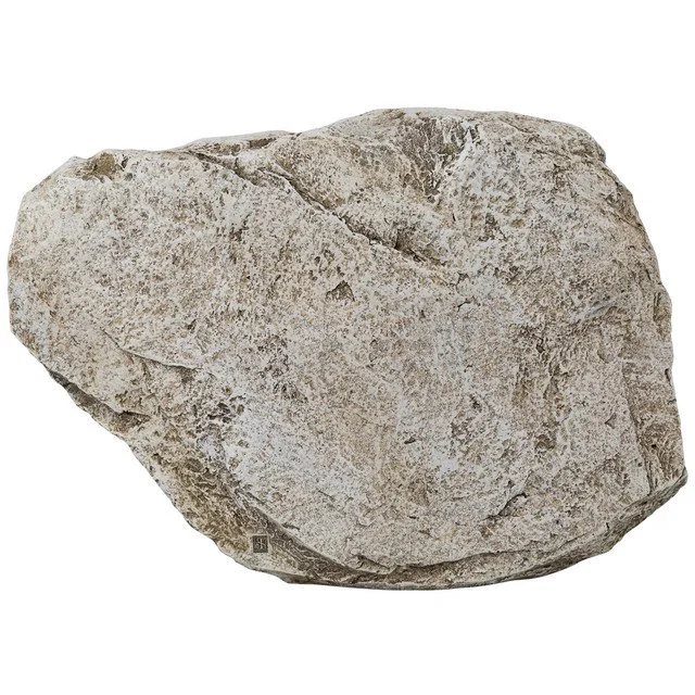 roman 66399_rinc 66399_04__21434.jpg