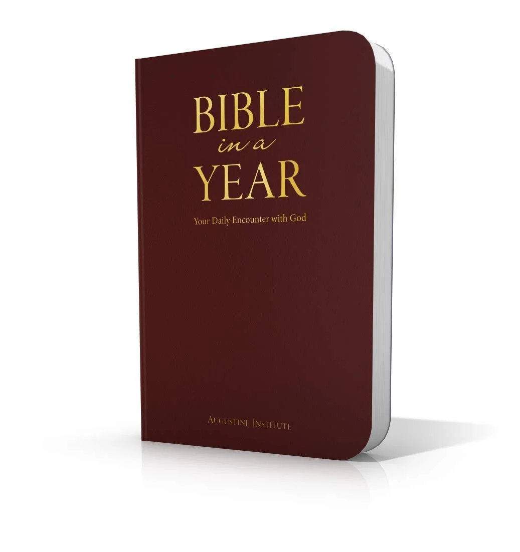 bible_in_year-leather.jpg