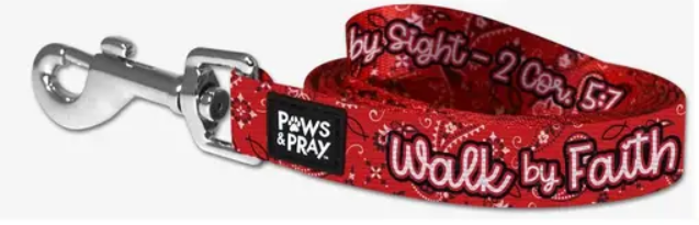 paws-8.PNG